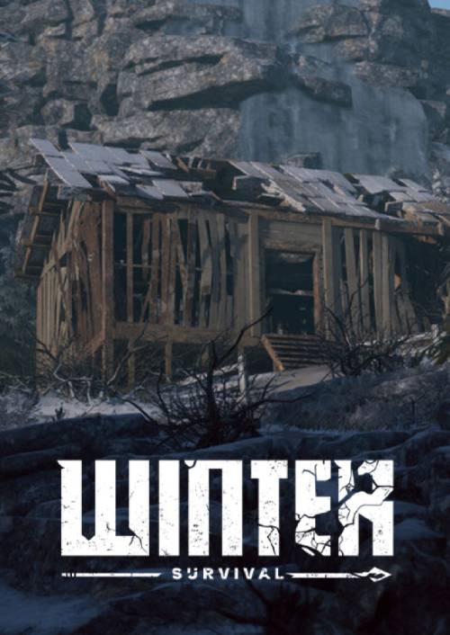 Winter Survival PC cover