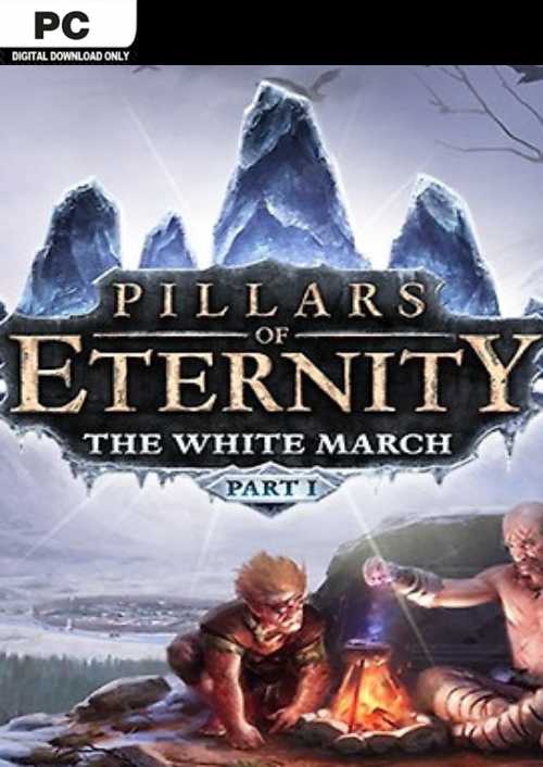 Pillars of Eternity - The White March Part 1 PC cover